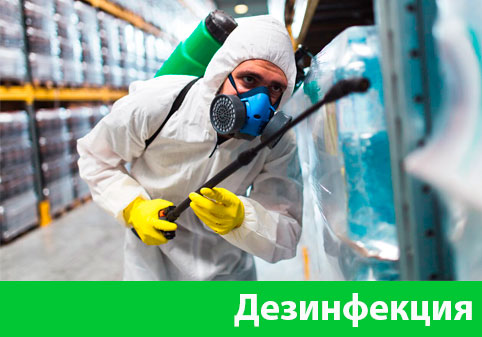 Дезинфекция в городе Белорецк