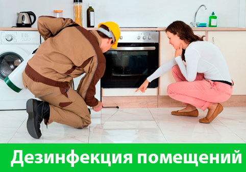 Дезинфекция офисов от коронавируса в городе Белорецк
