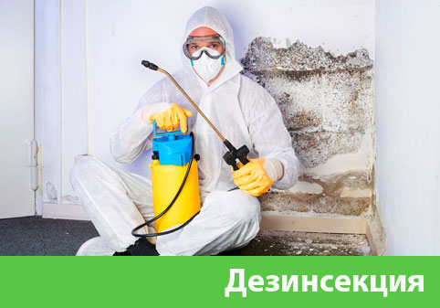 Дезинсекция в городе Белорецк