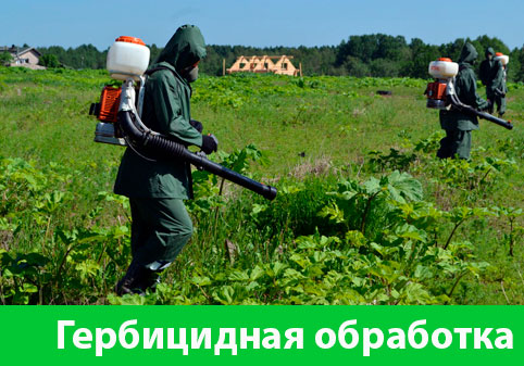 Гербицидная обработка в городе Белорецк