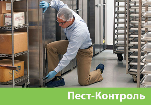 Пэст-Контроль в городе Белорецк
