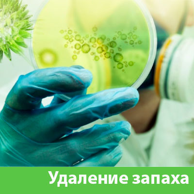 Удаление запахов в Белорецке