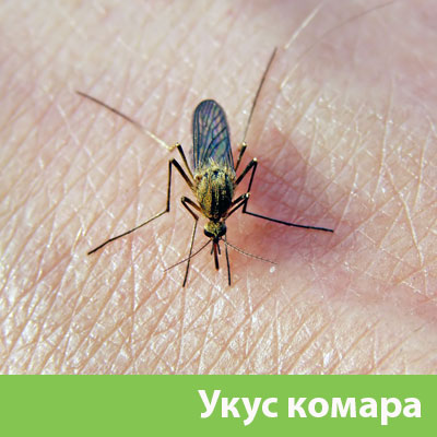 Укусы комаров в Белорецке