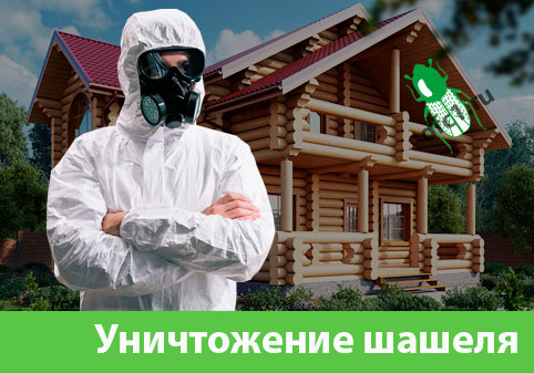 Уничтожение шашеля и личинок в Белорецке