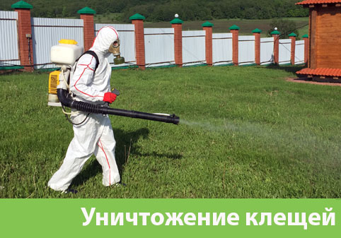Уничтожение клещей в городе Белорецк