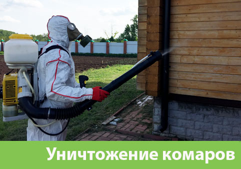 Уничтожение комаров в городе Белорецк